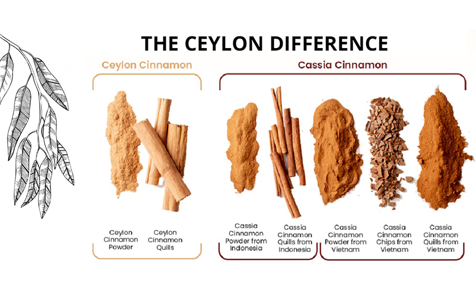 Tarth Organic Ceylon Cinnamon Powder | True Cinnamon Powder - Sourced from coastal farms ofSri Lanka