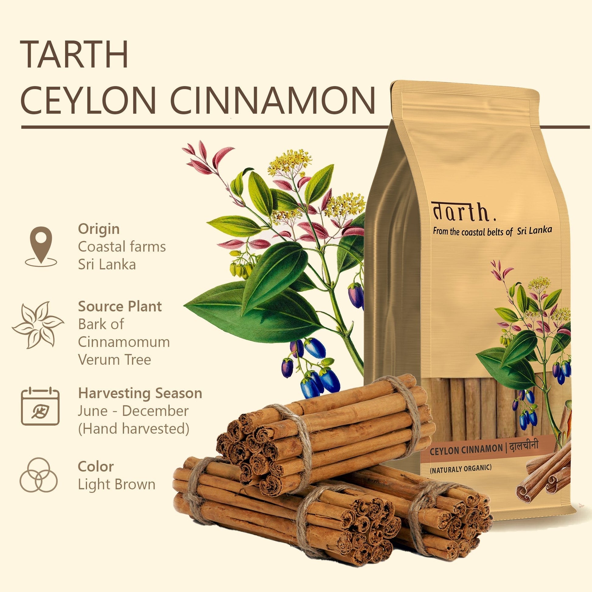 Tarth Spice Basket - Ceylon Cinnamon Quills (Sri Lanka) + Lakadong Turmeric (Jaintia Hills, Meghalaya) + Indian Bay Leaf (Nongriat, Meghalaya) 